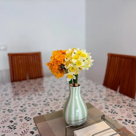 Sunny Air Conditioning In Every Tatil Evi *